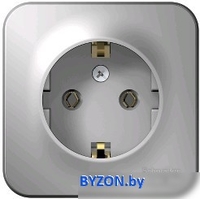 Розетка Schneider Electric Blanca BLNRA010113 - фото