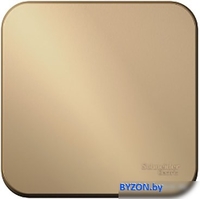 Выключатель Schneider Electric Blanca BLNVA101014 - фото