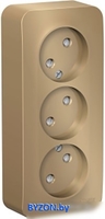 Розетка Schneider Electric Blanca BLNRA000314 - фото