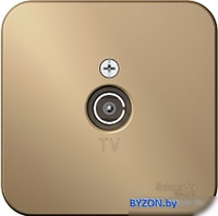 Розетка телевизионная Schneider Electric Blanca BLNTA000014 - фото