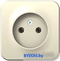 Розетка Schneider Electric Blanca BLNRA000112 - фото