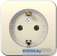 Розетка Schneider Electric Blanca BLNRA110112 - фото