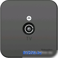 Розетка телевизионная Schneider Electric Blanca BLNTA000016 - фото