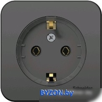 Розетка Schneider Electric Blanca BLNRA110116 - фото