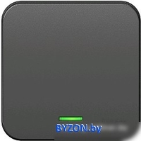 Выключатель Schneider Electric Blanca BLNVA101116 - фото