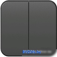 Выключатель Schneider Electric Blanca BLNVA105016 - фото