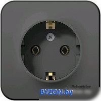 Розетка Schneider Electric Blanca BLNRA010116 - фото