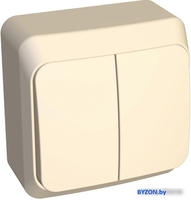 Выключатель Schneider Electric Этюд BA10-002K - фото