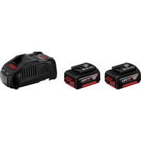 Аккумулятор с зарядным устройством Bosch 1600A00B8J (18В/5 а*ч + 14.4-18В) - фото