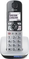 Радиотелефон Panasonic KX-TGE510RUS - фото2