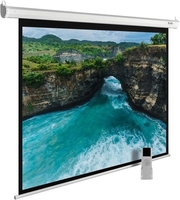 Проекционный экран CACTUS MotoExpert 240x180 CS-PSME-240x180-WT - фото