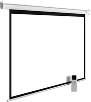 Проекционный экран CACTUS MotoExpert 240x180 CS-PSME-240x180-WT - фото2