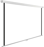 Проекционный экран CACTUS WallExpert 180x120 CS-PSWE-240x180-WT - фото2