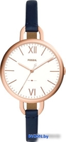 Наручные часы Fossil Annette ES4355 - фото