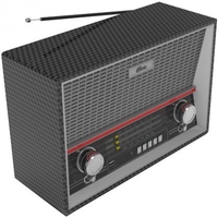 Радиоприемник Ritmix RPR-102 (карбон) - фото
