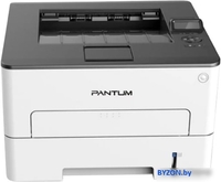 Принтер Pantum P3300DN - фото
