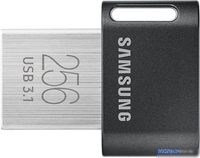 USB Flash Samsung FIT Plus 256GB (черный) - фото