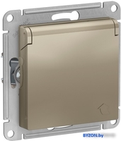 Розетка Schneider Electric Atlas Design ATN000546 - фото