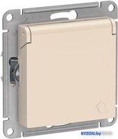 Розетка Schneider Electric Atlas Design ATN000246 - фото