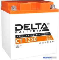 Мотоциклетный аккумулятор Delta CT 1230 (30 А·ч) - фото