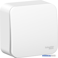 Выключатель Schneider Electric Blanca BLNVA061001 - фото