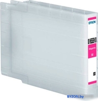 Картридж Epson C13T04A340 - фото