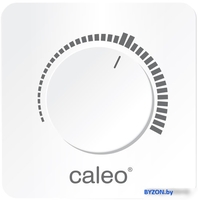 Терморегулятор Caleo C450 - фото