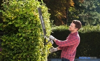Кусторез Ryobi RHT8165RL - фото2