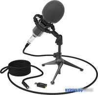 Проводной микрофон Ritmix RDM-160 - фото