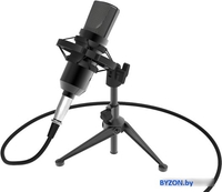 Проводной микрофон Ritmix RDM-160 - фото2