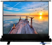 CACTUS FloorExpert 113x200 CS-PSFLE-200х113 - фото