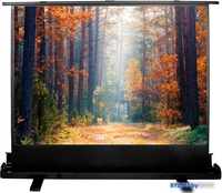 Проекционный экран CACTUS FloorExpert 150x200 CS-PSFLE-200X150 - фото