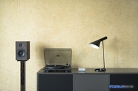 Pro-Ject Primary E (черный) - фото2
