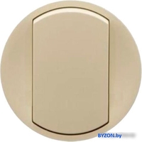Панель выключателя Legrand Celiane 66200 (слоновая кость) - фото