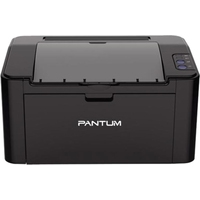 Принтер Pantum P2507 - фото