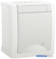 Розетка Panasonic Pacific WPTC42122WH-BY - фото