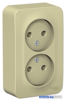 Розетка Schneider Electric Blanca BLNRA000217 - фото