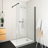 Душевая стенка Roltechnik Exclusive Line Ecwalk/100 - фото