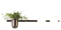 Бра Odeon Light Flower 4681/2W - фото