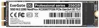 SSD ExeGate Next Pro+ 256GB EX282321RUS - фото