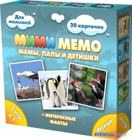 Настольная игра Нескучные игры Ми-Ми-Мемо Птицы 8052 - фото