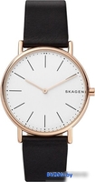 Наручные часы Skagen SKW6430 - фото