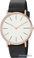 Наручные часы Skagen SKW6430 - фото2