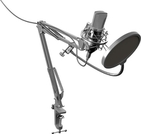 Микрофон Ritmix RDM-169 - фото