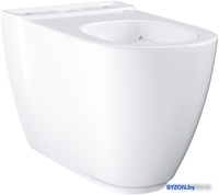 Grohe Essence 3957200H (без бачка, без сиденья) - фото
