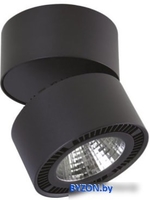 Точечный светильник Lightstar Forte Muro 214857 - фото