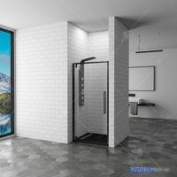 Душевая дверь RGW SV-02B 90 - фото