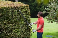 Кусторез Ryobi RHT6160RS - фото2