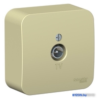 Розетка телевизионная Schneider Electric Blanca BLNTA000017 - фото