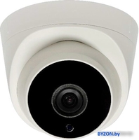 IP-камера Tantos TSi-Eeco25F - фото